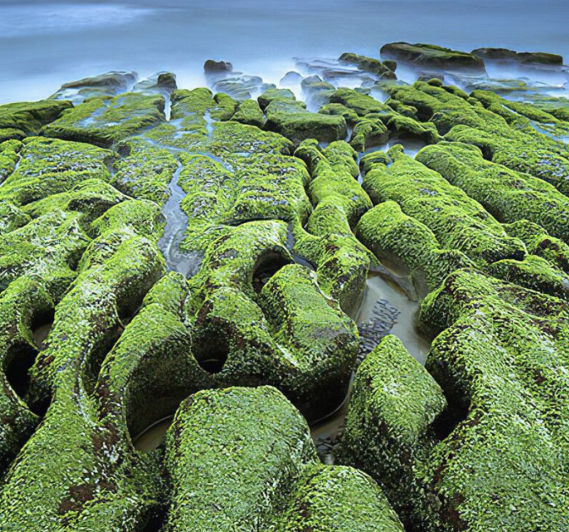 旅客前往綠石槽海岸時，要格外留意不要踩踏礁岩。   圖：翻攝自新北市觀光旅遊網 