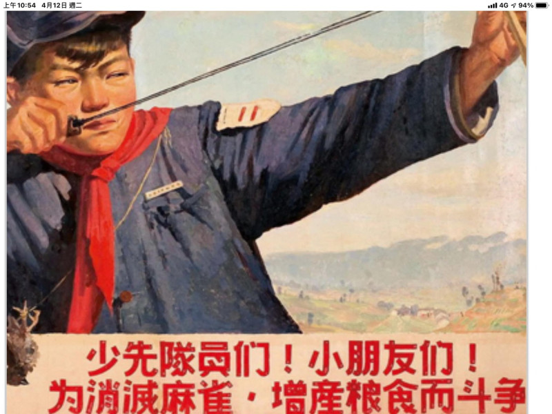 毛澤東在1958年發起的除四害運動，雖然成功消滅了19.6億隻麻雀，但卻也讓害蟲大量繁殖，吃光所有的農作物，引發飢荒，餓死將近2000萬人。   圖：翻攝謝金河臉書