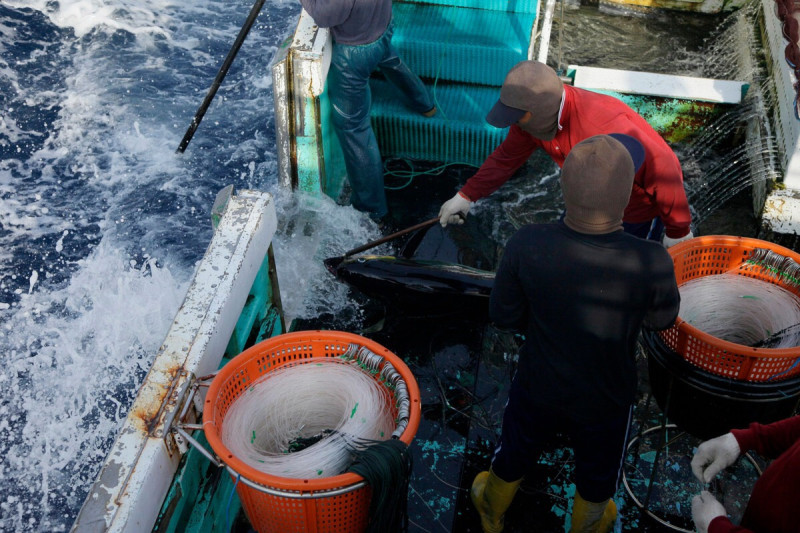 長江流域的淡水漁獲銳減，當局正從多個面向著手，希望復育順利。   圖：新頭殼資料照片