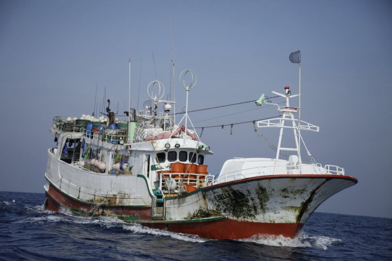 台灣遠洋漁船能否視為我國境內國土的延伸？勞動部長郭芳煜1日表示，近期內將會邀集漁業署進一步研議。   圖：綠色和平組織提供