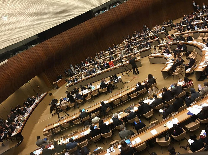 各國代表在WHA副廳報告的情況。&nbsp;&nbsp;&nbsp;圖：陳志瑜提供