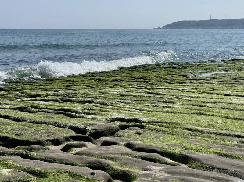 老梅綠石槽是每年春季登場的北海岸特殊景觀。   圖：北海岸及觀音山國家風景區管理處／提供