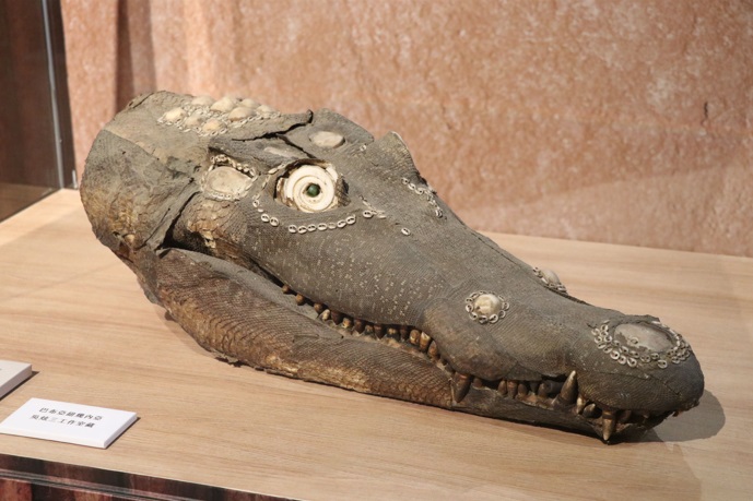 來自巴布亞紐幾內亞的鱷魚面具，氣勢凌人。   圖：十三行博物館提供