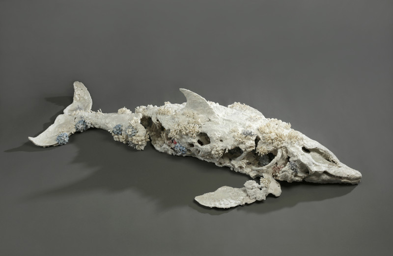 創作獎首獎得主王裔婷《隕落中的重生化石—熱帶斑海豚》，表現生態與人為迫害的深刻體悟。   圖：鶯歌陶瓷博物館提供