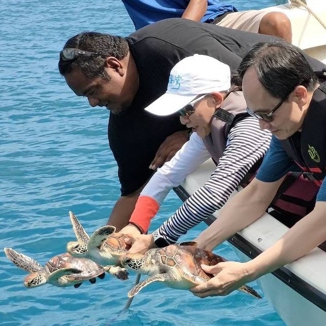 海洋委員會蔡清標政務副主任委員（右）與駐帛琉黎倩儀大使（中）於帛琉海域放流海龜。   圖：外交部提供
