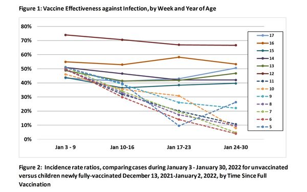何美鄉在臉書貼出「輝瑞兒童疫苗效益」圖表顯示，輝瑞疫苗在5至12歲兒童的效益3週後平均只剩12％。   圖：翻攝何美鄉臉書