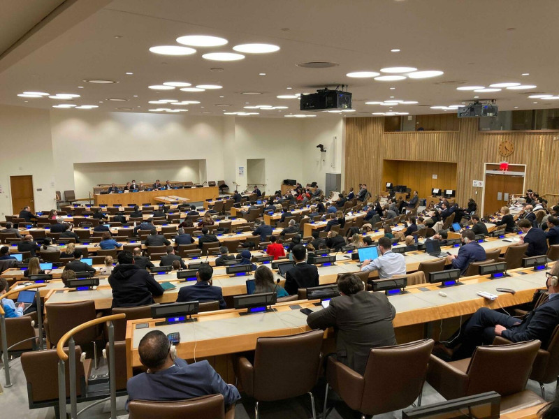 列支敦斯登的常任理事國減少否決權提案，已經獲得57國連署，將於20日在聯合國大會展開討論。   圖：翻攝自列支敦斯登駐聯合國推特