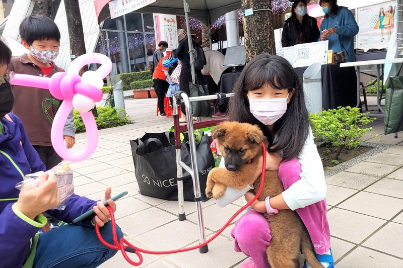 府中15將於這週六（4月23日）舉辦《浪浪回家》特映會暨動物認養活動，現場將邀請新北市動保團體出席，共同為流浪動物站台並舉辦認養活動。   圖：新北市動保處提供