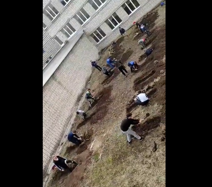 白俄羅斯獨立記者柳巴科娃在推特分享Novocheboksary 理工學院學生練習挖壕溝影片，引起重視。   圖：翻攝自柳巴科娃推特影片