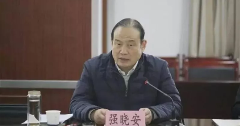 西安市前副市長強小安受賄獲利七千多萬，遭判刑14年。   圖:翻攝自北京青年報