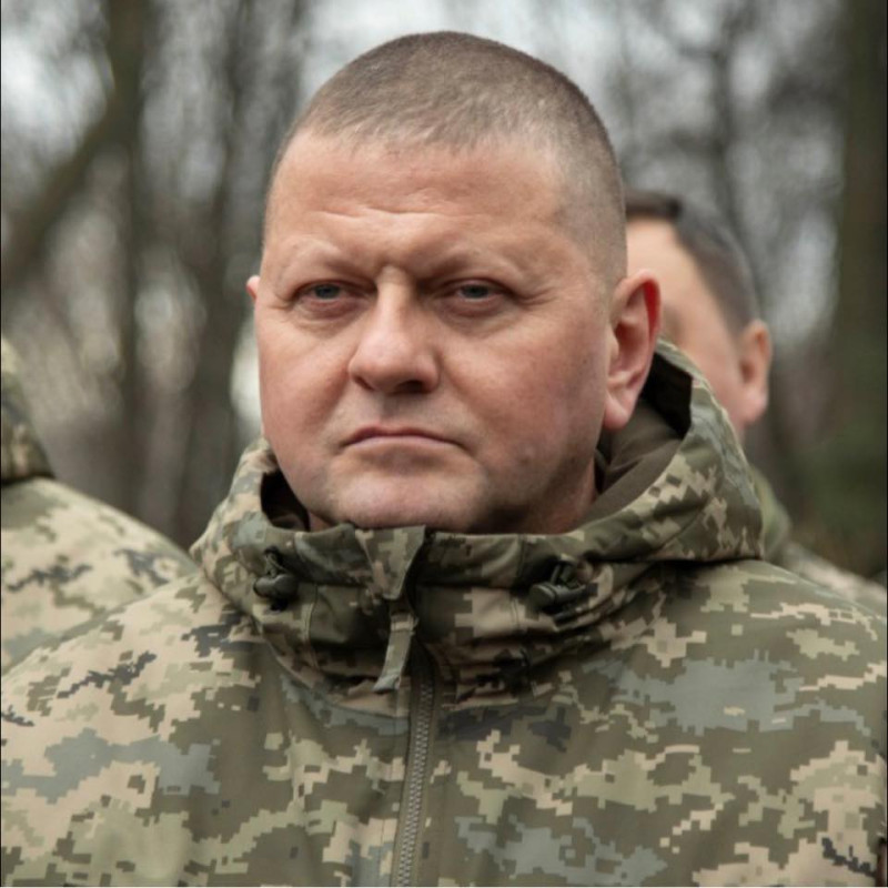 烏克蘭武裝部隊總司令扎盧日內上將聲稱，烏克蘭邁向勝利中。   圖：翻攝自扎盧日內臉書