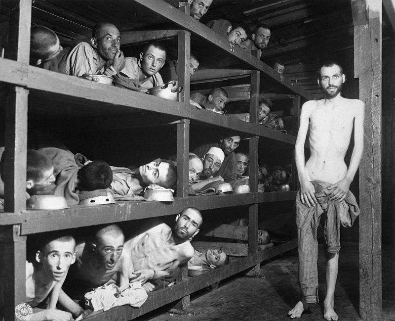 艾利維瑟爾（由下上數第2層左7）被關進關進惡名昭彰的奧斯威辛集中營時，才15歲。   圖：翻攝維基網站