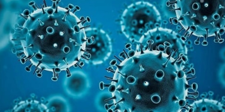 武漢肺炎COVID-19病毒禍害全球，變種病毒Omicron傳播力驚人，現在又出現2個新亞型變異株BA.4與BA.5，令民眾緊張。   圖：翻攝自WHO官網