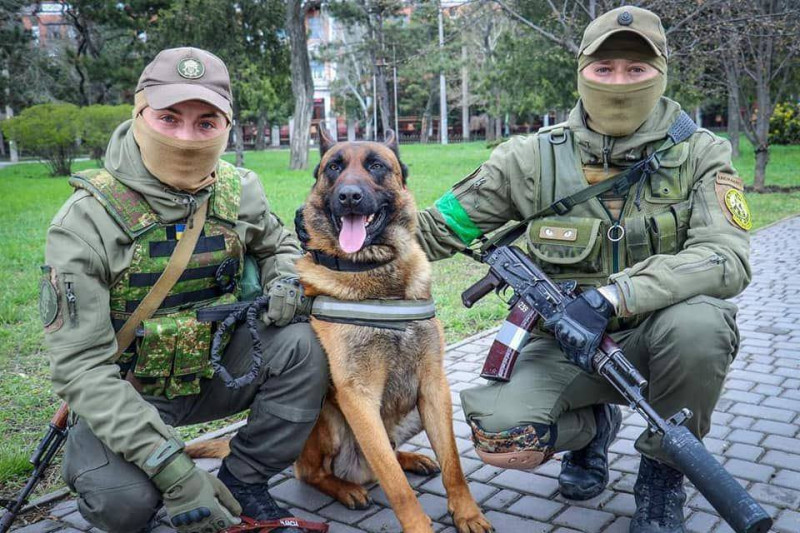 烏克蘭國民警衛隊第19軍團收容Max（中），直讚牠訓練有素，目前正在為牠惡補烏克蘭語。   圖：翻攝自Proud Ukraine推特