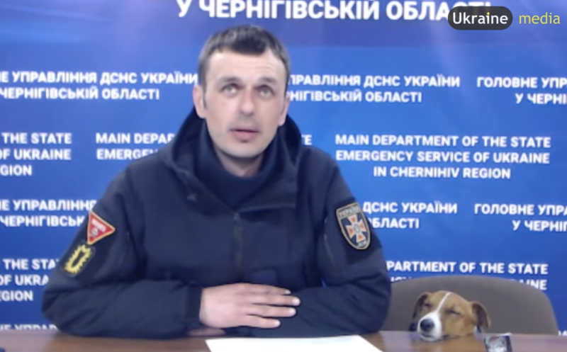 烏克蘭護國神犬「子彈（Patron）」度估的畫面在社群網路瘋傳，萌翻眾多網友。   翻攝自YouTube／Ukraine Media
