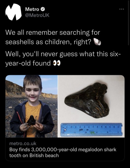 6歲的英國男孩薩米·謝爾頓在薩福克的Bawdsey海灘，撿到1顆長達10公分的史前巨齒鯊的牙齒，研判距今約300萬年。   圖：翻攝自Metro推特
