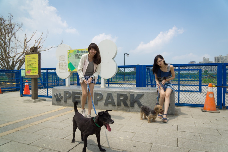 新北市永和綠寶石寵物公園是民眾遛狗好去處。   圖：新北市動保處提供