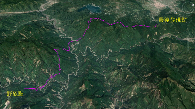 東卯山黑熊二度野放地點於丹大山區，牠疑似因「返家行為」移路北上至武界地區，最終遇害身亡。   圖：農委會林務局／提供