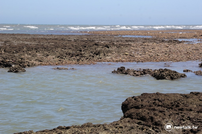桃園沿海藻礁長度約30公里，約有4,500年歷史，多孔的礁體可以提供生物棲息繁衍，具有重要生態地位。   圖：新頭殼資料照。