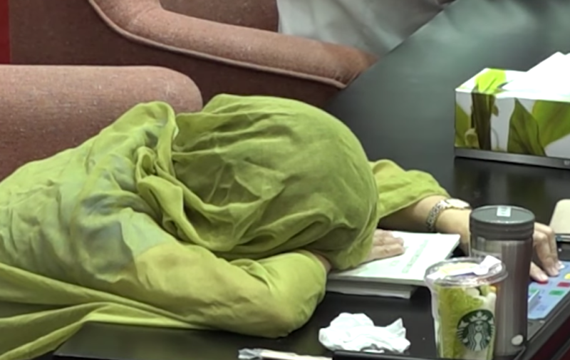 民進黨立委葉宜津不堪勞累趴在桌上睡覺，手指卻能按表決器，讓現場媒體嘖嘖稱奇。   圖：截圖自《自由時報》直播畫面