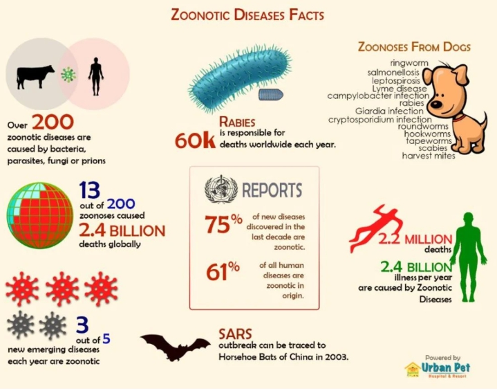 動物造成人類疾病的傳播圖表。 圖 : 翻攝自CITES