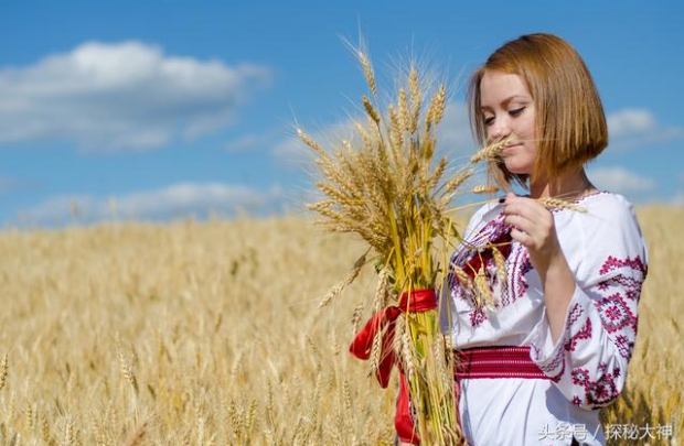 烏克蘭為世界農業大國，受戰爭以及印度禁止小麥出口影響導致小麥庫存銳減，為全球帶來糧食危機。 圖 : 翻攝自頭條號/探訪大神