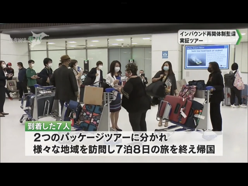 日本5月實驗性地搞超級迷你團客遊，都是業界人士，7人也分兩團。 圖：攝自千葉電視