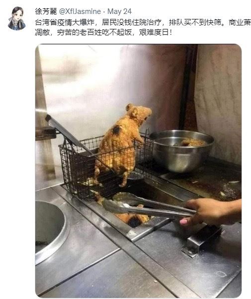 「徐芳麗」Po出「炸老鼠」照片並瞎扯「台灣疫情大爆炸，居民沒錢住院治療，排隊買不到快篩…」。   圖：翻攝推特