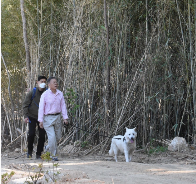 韓國前總統文在寅卸下總統光環後，在鄉間散步。   圖 : 翻攝自臉書