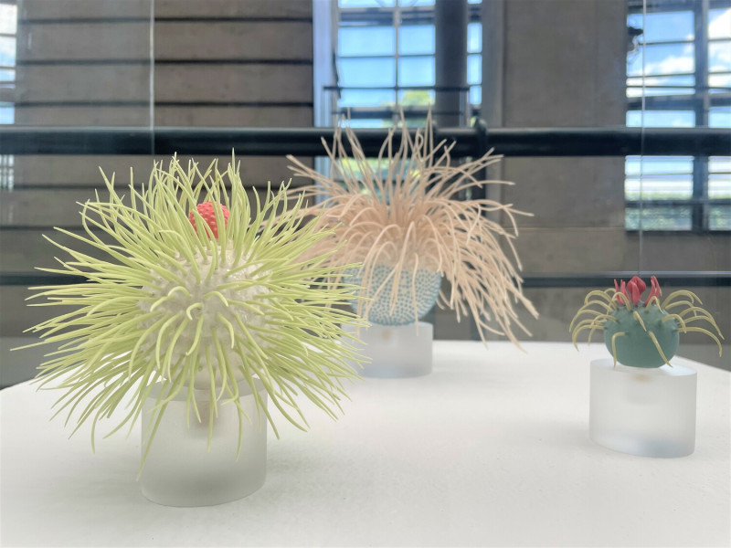 Avital Avital創作的《生物》，精緻花序模擬水生生物或微生物。   圖：鶯歌陶瓷博物館提供