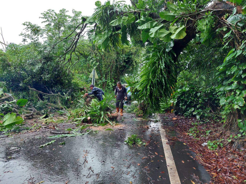 梅雨造成嘉義縣山區部份道路受阻，皆已搶通。   圖：嘉義縣政府/提供