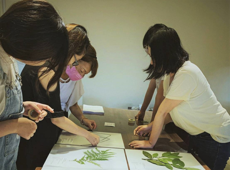 茶博館「茶山學特展」中展出的植物標本都是由館員一手包辦。   圖：新北市文化局提供