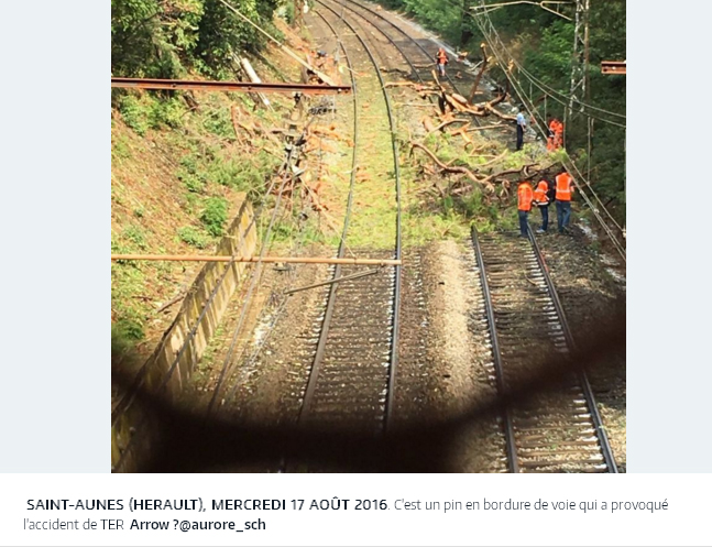 法國埃羅省突下冰雹，造成路樹倒臥鐵軌，造成火車交通意外。   圖：翻攝ARROW推特