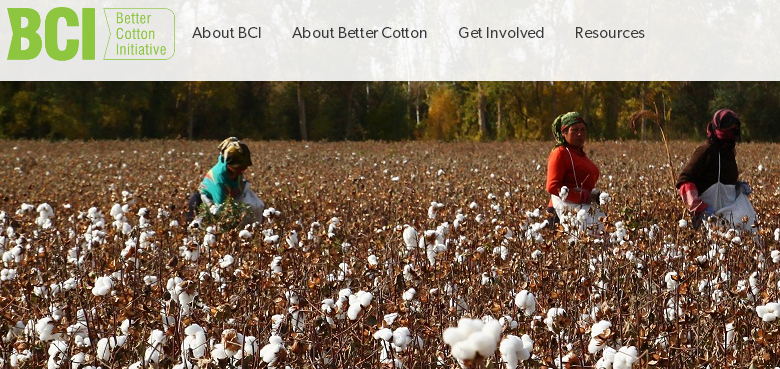 印度棉花產業興盛，該國政府及不少組織目前都在努力扶植本土棉花產業，包括「Better Cotton Initiative」組織。   圖：翻攝BCI官網