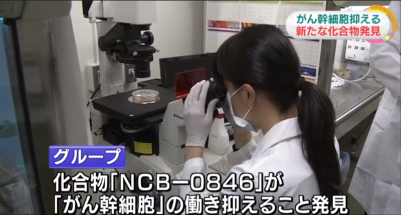 日本國立癌症研究中心等研究團隊發現新化合物，能有效抑制被認為是大腸癌再發和轉移原因的「癌幹細胞」，盼找到癌症根本性的治療方法。   圖：翻攝自NHK新聞網