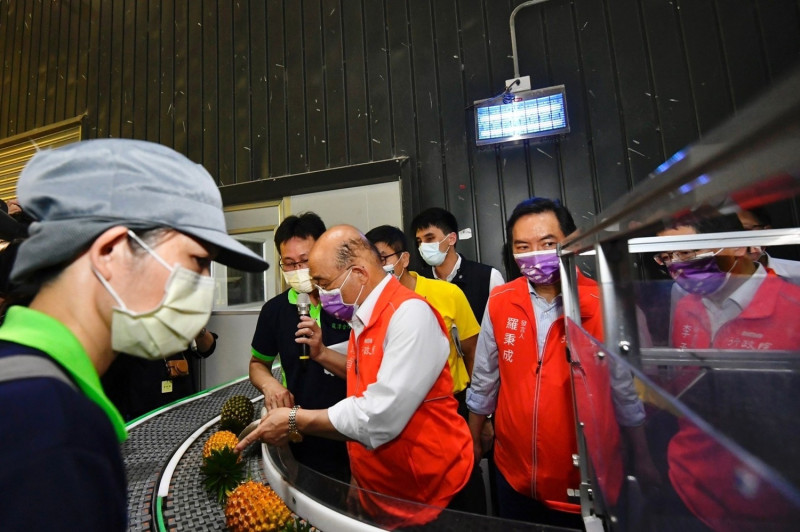 行政院長蘇貞昌視察鳳梨冷鏈集貨包裝場，禁令危機雖帶來衝擊，卻也給產業轉型的契機。 圖：行政院提供