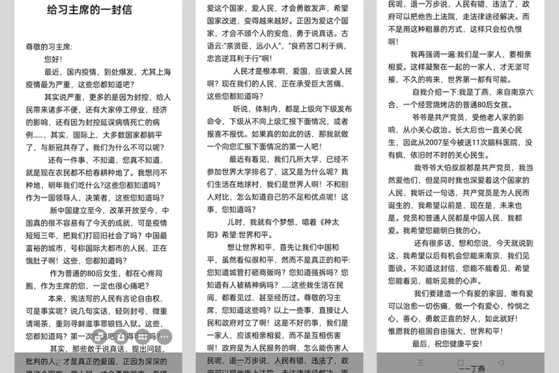 南京女子丁燕在微信群發表一封給中共當局的公開信，問責上海的極端防疫政策，當天就被警方帶走隨後轉送至精神病院。   圖:翻攝自網路