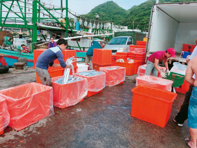 中國稱在我國輸入的白帶魚外包裝檢出新冠病毒陽性。（圖為白帶魚示意圖）   圖：翻攝自農委會漁業署臉書（資料照）