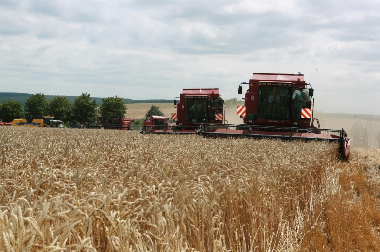 烏克蘭南部的小麥收割。因出口海港遭俄國布雷、封鎖導致烏克蘭糧食無乏外銷。   圖 : 翻攝自新華網