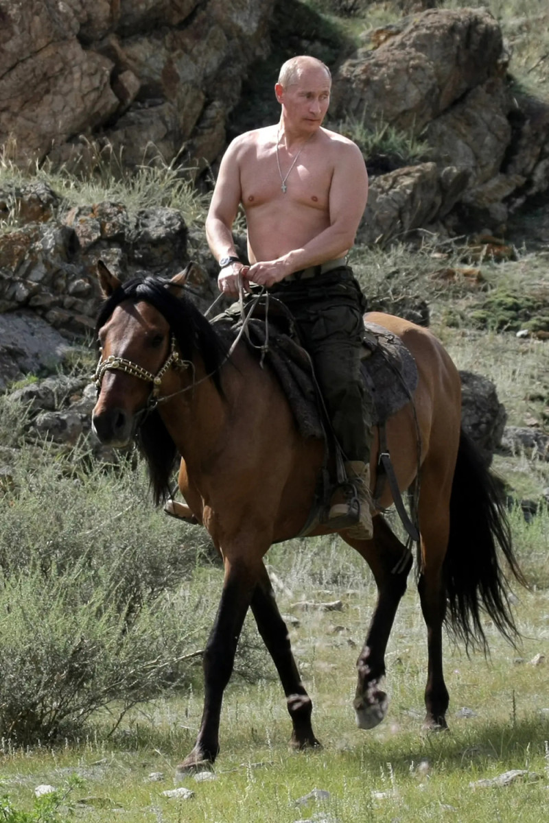 俄羅斯總統普丁（Vladimir Putin）騎馬照。   圖：擷取自環球網
