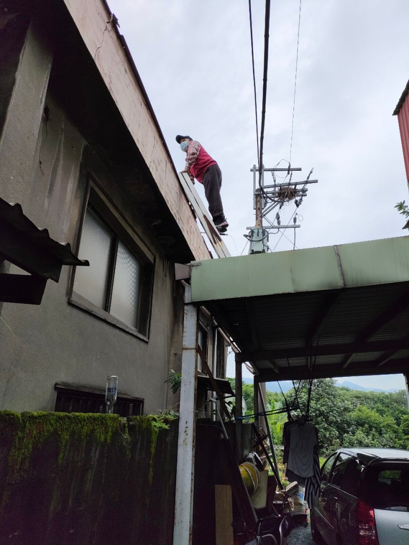 動保員攀上工廠屋頂夾層救援。   圖：新北市動保處提供