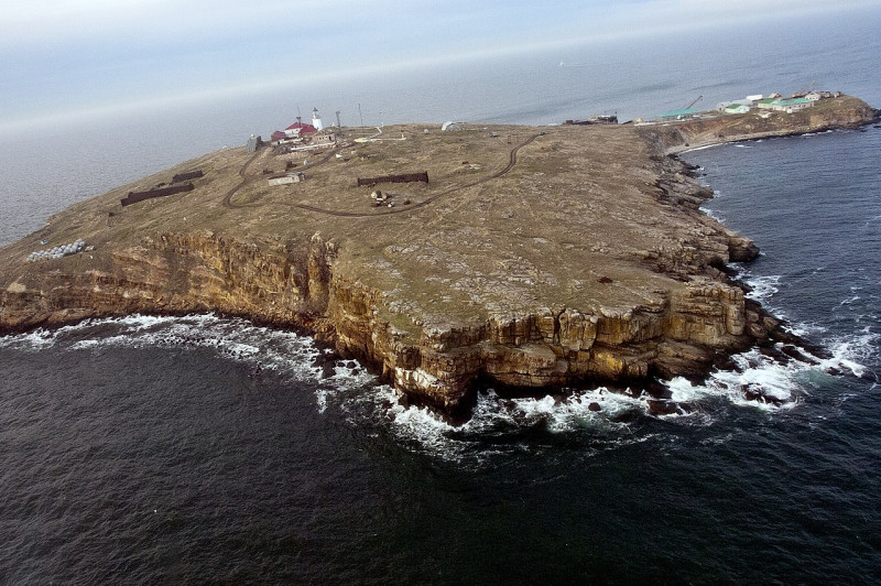 俄軍完成指定任務後便快速撤離烏克蘭蛇島。   圖翻攝自:維基百科