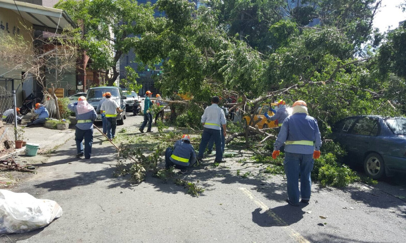 高雄市清潔人員16日清除苓安路樹倒，搶通當地道路。   圖：高雄市政府提供