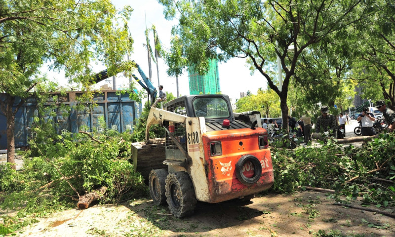 高雄市清潔隊人員16日清除中央公園遭莫蘭蒂颱風吹倒樹木。   圖：高雄市政府提供