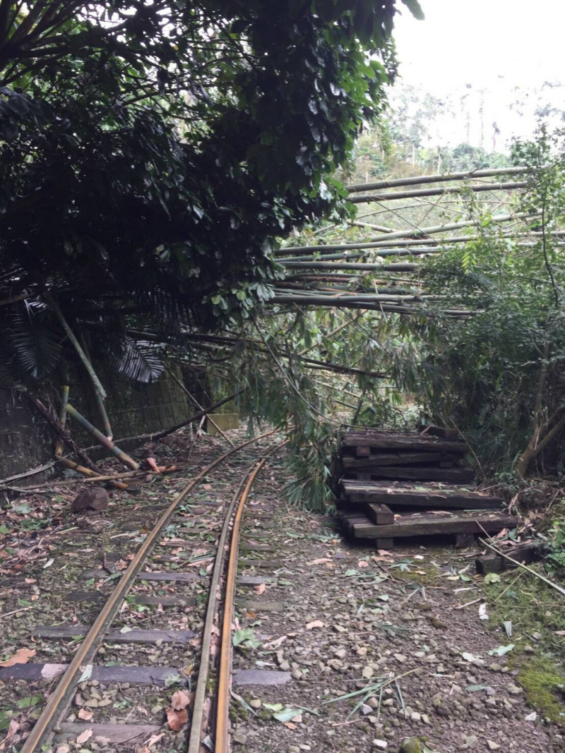 受中颱梅姬影響，台鐵局宣布，阿里山森林鐵路本線（嘉義～奮起湖），9月30日及10月1日共2天列車全部停駛。   圖：台鐵提供