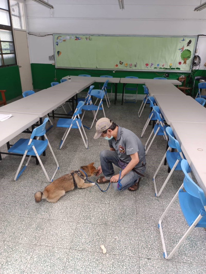 動保處媒合訓練師到校訓練校犬「柴哥」。   圖：新北市動保處提供