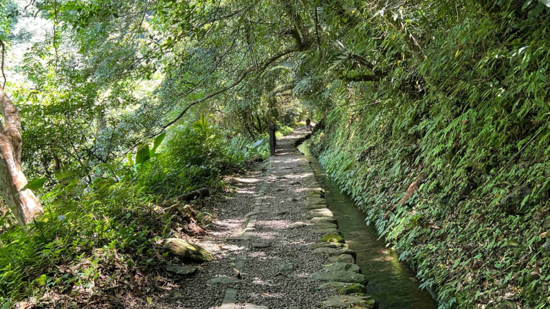 日治時期開鑿的灌溉水圳是溪流環境生物天堂。   圖：新北市觀旅局提供