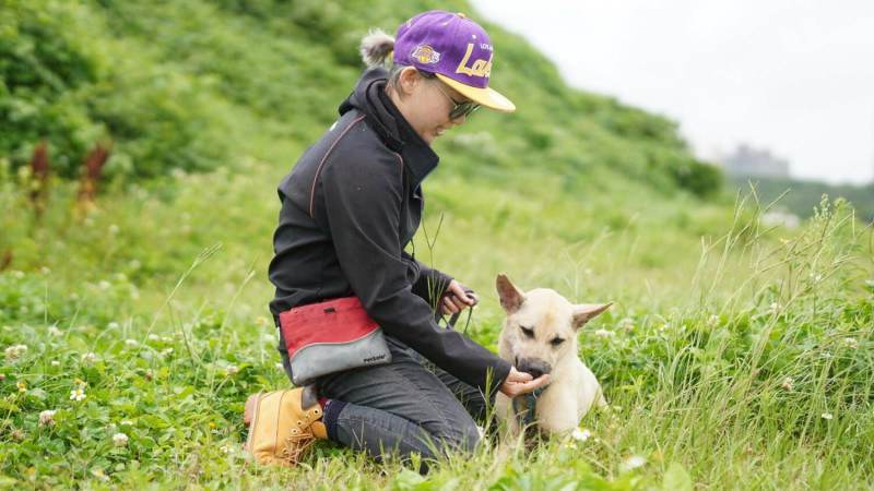 訓犬師紀筱涵透過每週矯正訓練，讓收容動物更能融入人類生活。   圖：新北市動保處提供