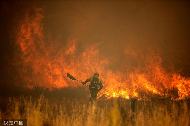 歐洲多國因炎熱高溫，多地傳出野火肆虐情形。圖為西班牙薩莫拉森林大火，消防員正進行滅火工作。   圖：擷取自視覺中國