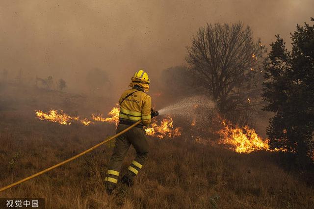 歐洲多國因炎熱高溫，多地傳出野火肆虐情形。圖為西班牙薩莫拉森林大火，消防員正進行滅火工作。   圖：擷取自視覺中國
